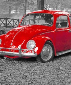 Red Beetle Car Paint By Numbers