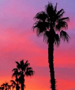 Palms Silhouette Paint By Numbers
