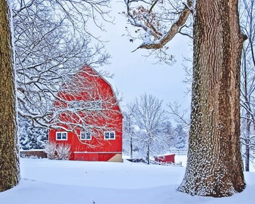 Red Barn Snow Paint By Numbers - Numeral Paint Kit