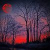 Red Moon Forest Paint By Numbers