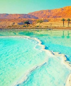 Dead Sea Paint By Numbers