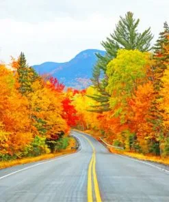 Autumn Trees Road Paint By Numbers