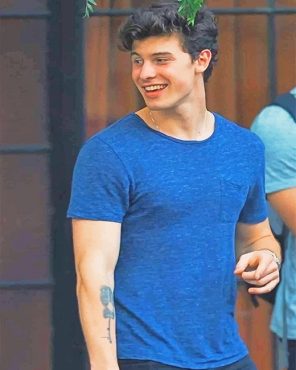 Handsome Shawn Mendes Smiling - NEW Paint By Numbers - Numeral Paint