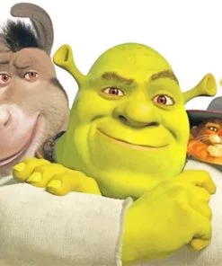 Shrek Donkey And Puss In Boots NEW Paint By Numbers