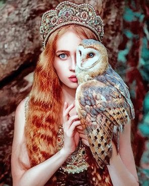 Princess Girl With Owl Paint By Numbers