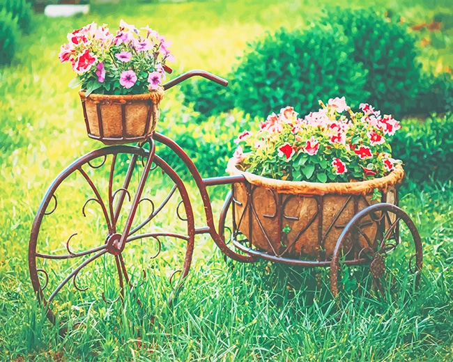 Vintage Bike Basket Flowers Paint By Numbers