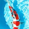 White And Red Koi Fish Paint By Numbers