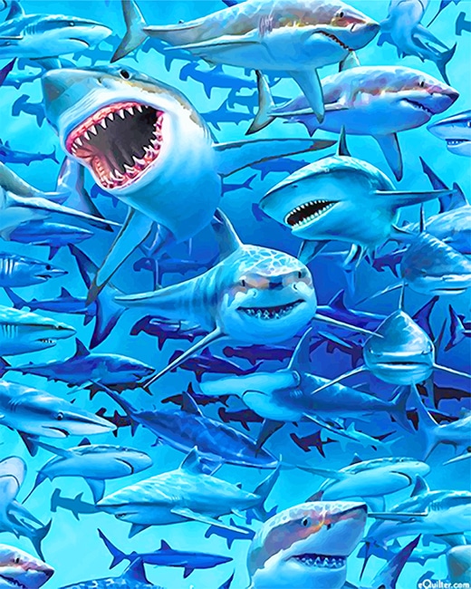 white sharks frenzy beach new paint by numbers numeral paint