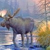 Wildlife Moose Paint By Numbers