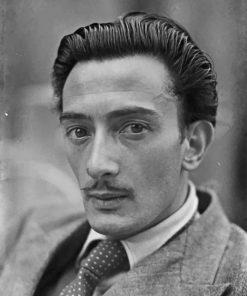 Young Salvador Dali Paint By Numbers