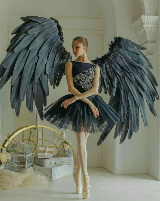 Ballerina Wings - Paint Number - Numeral Paint