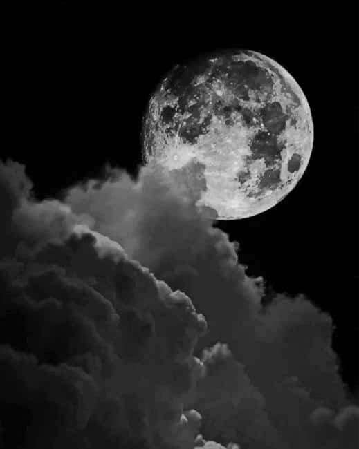 Black And White Moon Paint By Numbers
