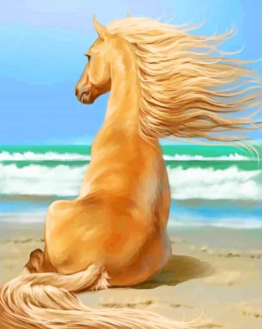 Blonde Horse In Sea Paint By Numbers