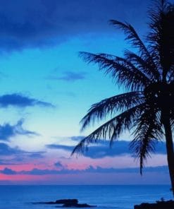 Blue Sunset Palms Paint By Numbers