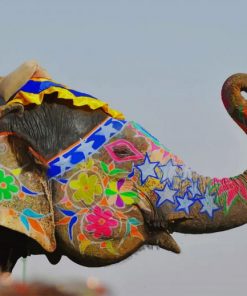 Colored elephant paint by numbers
