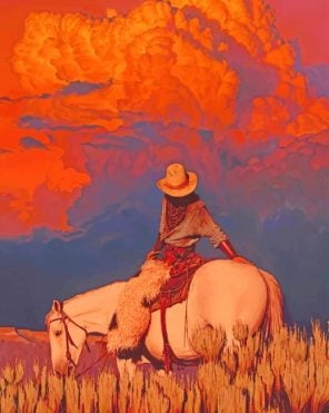 Western Cowboy Paint By Numbers