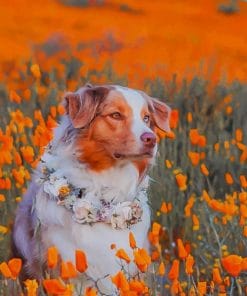 Dog In Flowers Field Paint By Numbers