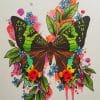 Butterfly Art paint by numbers