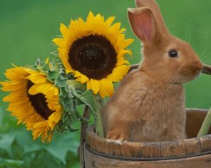 Rabbit And Sunflowers paint by numbers