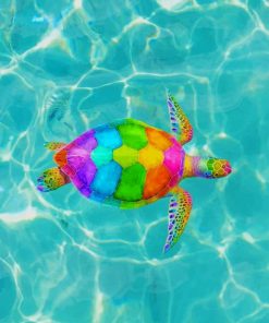 Rainbow Sea Turtle paint by numbers