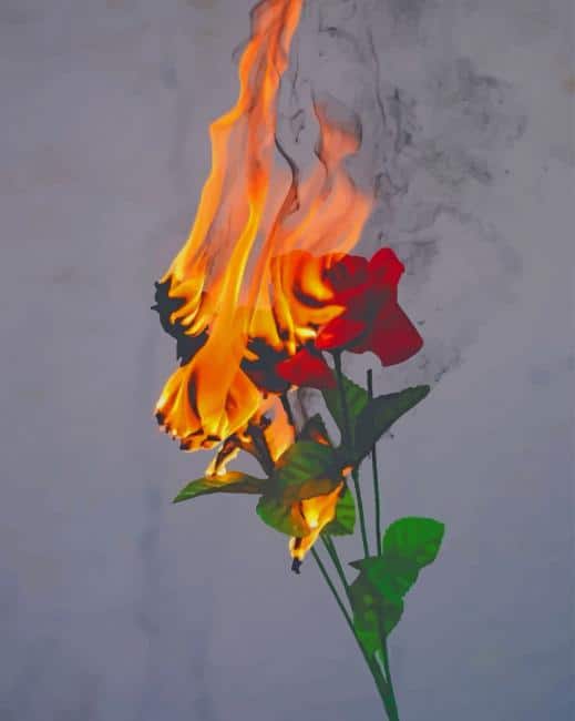 Rose On Fire Paint By Numbers - Numeral Paint Kit