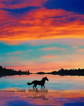 Running Horse Silhouette Paint By Numbers