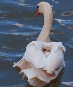Swan In Lake paint by numbers