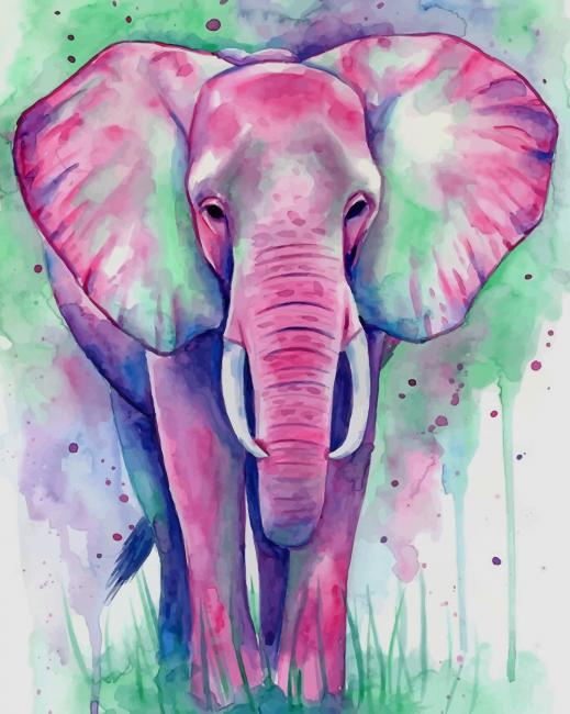 Green Pink Elephant Paint By Numbers