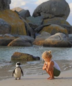 A little Girl Trying To Talk To A Penguin Paint by numbers