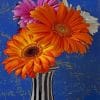 Barberton Daisies Vase Paint By Numbers