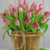 Pink Tulips Bucket Paint By Numbers