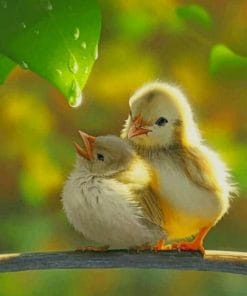 Cute Chicks Paint By Numbers