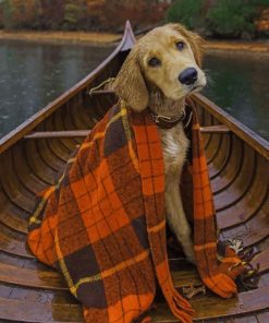 Dog On Boat Paint By Numbers