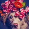 Dog With Flowers Crown Paint By Numbers