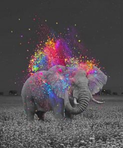 Elephant And Colors paint by numbers
