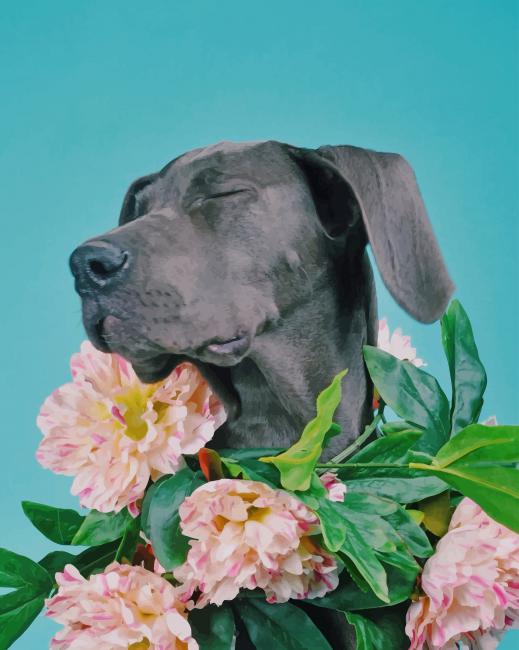 Great Dane With Flowers Paint By Numbers