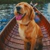 Puppy On A Boat Paint By Numbers
