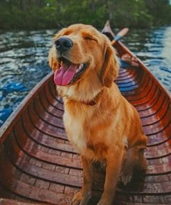 Puppy On A Boat Paint By Numbers