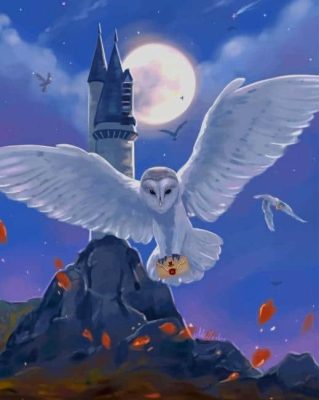 harry potter hedwig paint by number