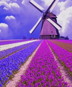 Windmill Lavender Field Paint By Numbers