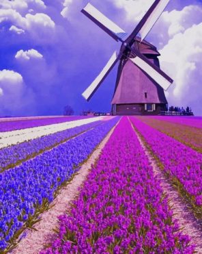 Windmill Lavender Field Paint By Numbers