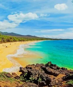 Makena State Park Hawaii Paint By Numbers