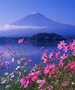 Mt Fuji Mountain Japan paint by numbers