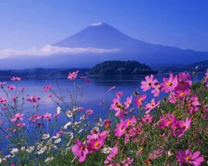 Mountain Fuji Paint By Numbers