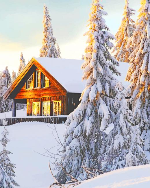 Norwegian Cabin In Snow Paint By Numbers