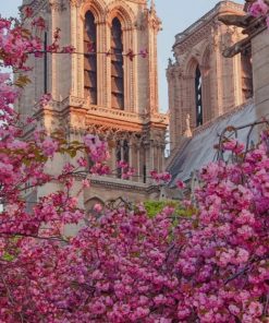 Notre Dame de Paris Catherdal France paint by numbers