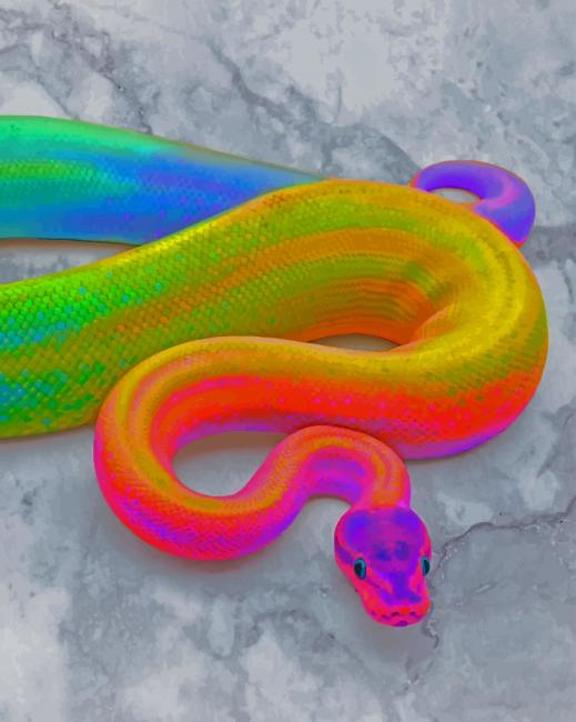 Rainbow Snake Paint By Numbers - Numeral Paint Kit