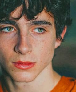 Timothee Chalamet paint by numbers