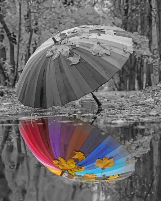 Umbrella Water reflection paint by numbers