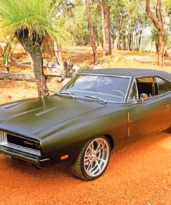 1969 Dodge Charger Paint By Numbers